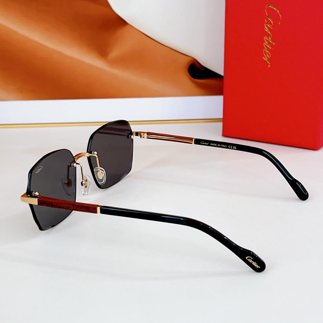 CARTIER SANTOS SQUARE FRAME SUNGLASSES CT0483S IN METAL