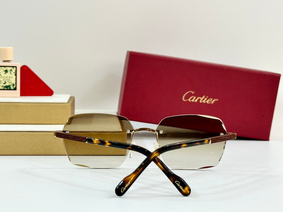 CARTIER SANTOS SQUARE FRAME SUNGLASSES 530303 IN METAL