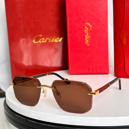 CARTIER SANTOS NAVIGATOR FRAME SUNGLASSES 524479 IN METAL AND WOODEN