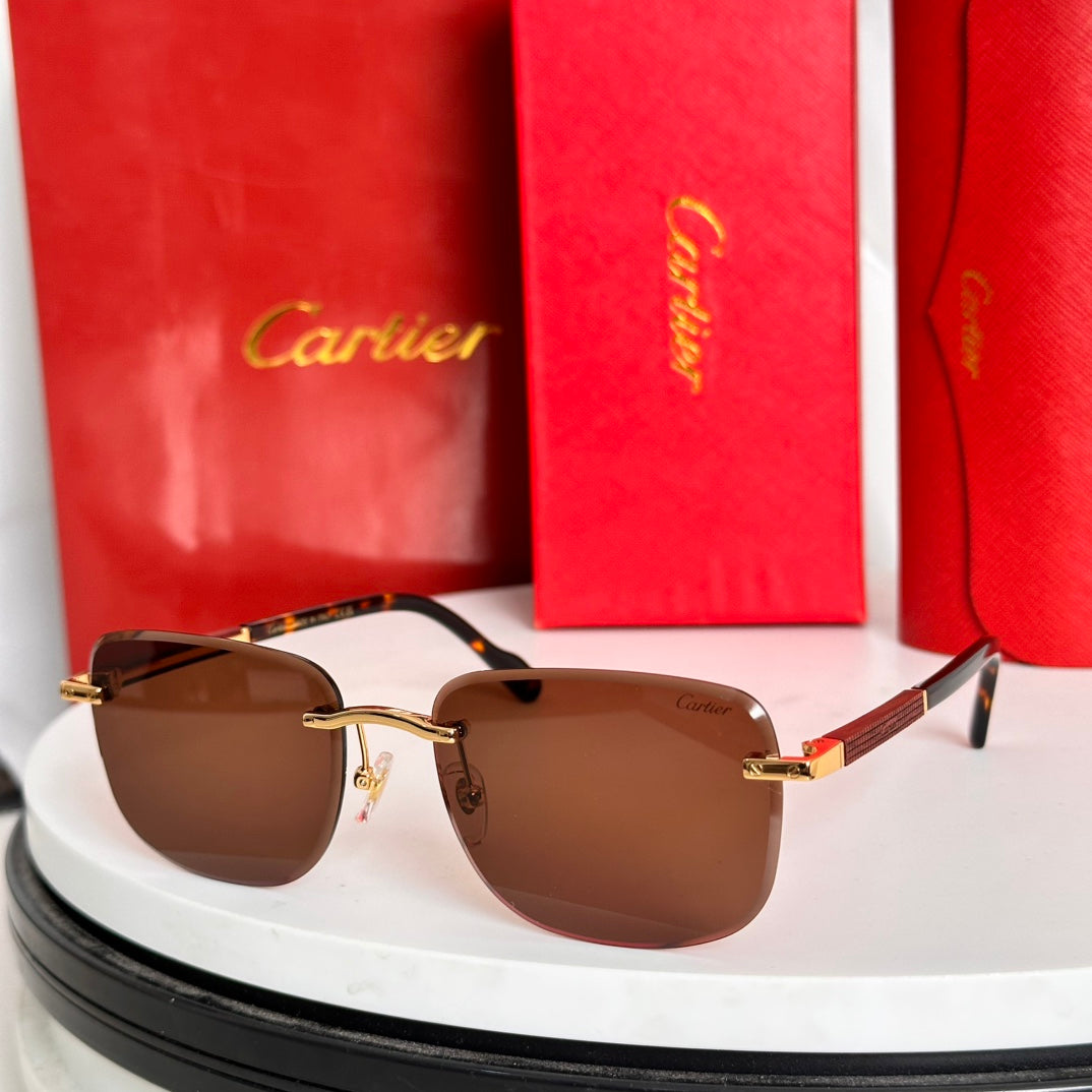 CARTIER SANTOS ROUND FRAME SUNGLASSES 524480 IN METAL AND WOODEN