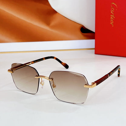 CARTIER SANTOS SQUARE FRAME SUNGLASSES CT0483S IN METAL