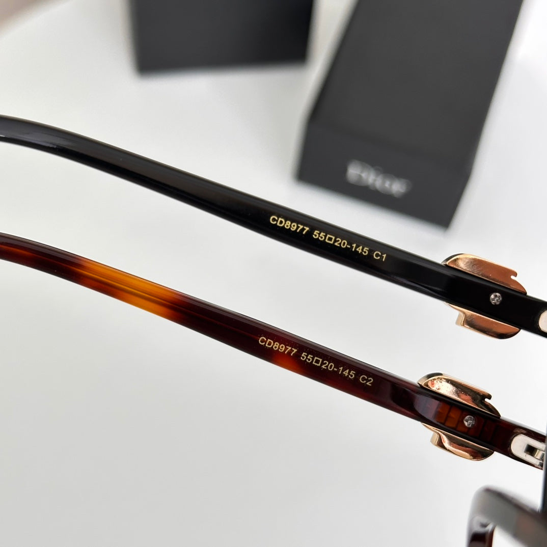 DIOR MONTAIGNE SUNGLASSES CD8977 IN ACETATE