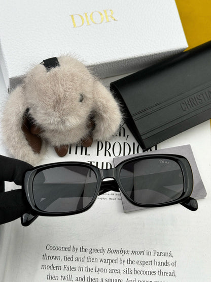 DIOR MONTAIGNE SUNGLASSES D8106 IN ACETATE