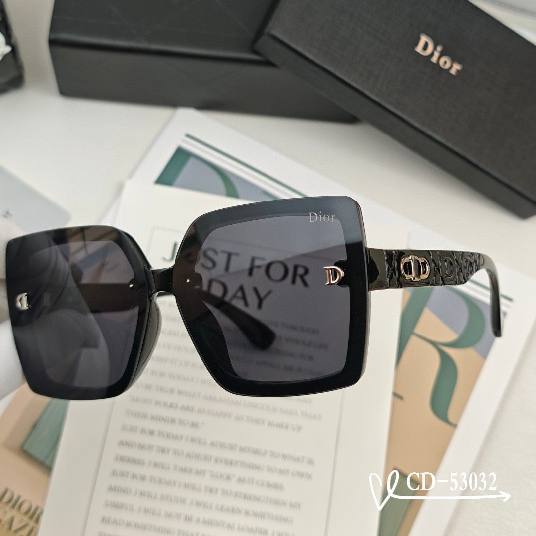 DIOR MONTAIGNE SUNGLASSES 53032 IN ACETATE
