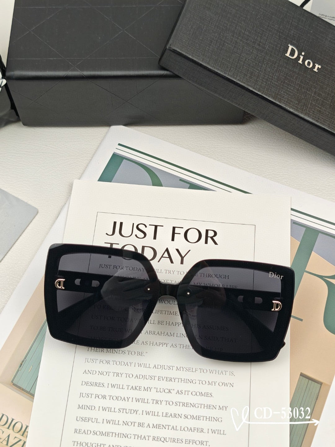 DIOR MONTAIGNE SUNGLASSES 53032 IN ACETATE