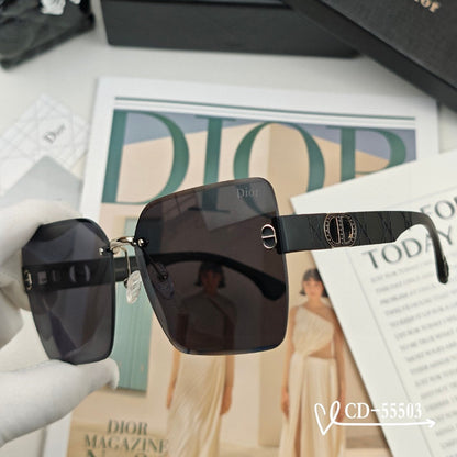 DIOR MONTAIGNE SUNGLASSES 55503 IN ACETATE