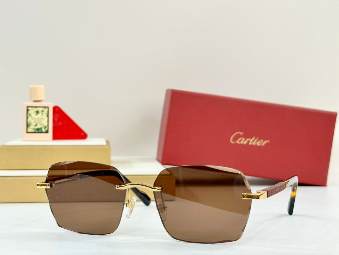 CARTIER SANTOS SQUARE FRAME SUNGLASSES 530303 IN METAL