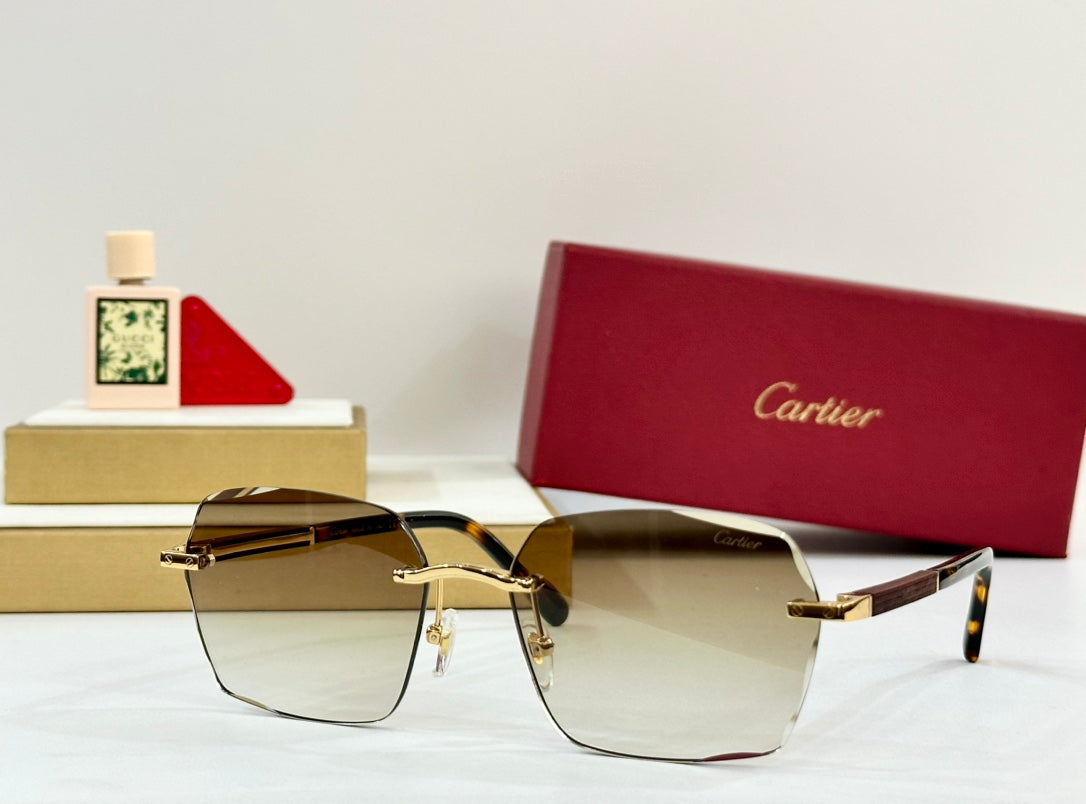 CARTIER SANTOS SQUARE FRAME SUNGLASSES 530303 IN METAL