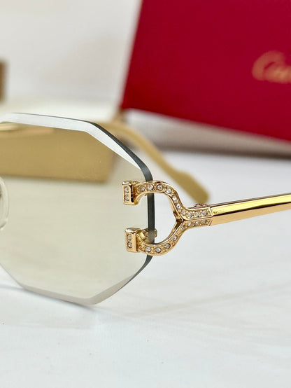 CARTIER PHOTOCHROMIC LENSES GEOMETRIC FRAME SUNGLASSES CT0581S IN METAL
