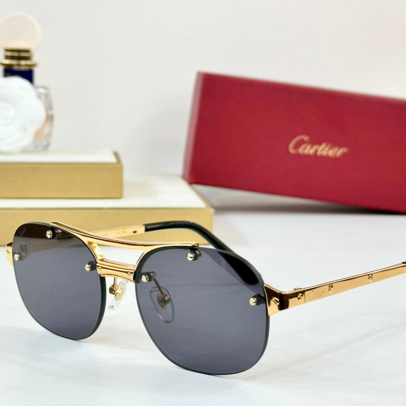 CARTIER SANTOS ROUND FRAME SUNGLASSES CT00676 IN METAL