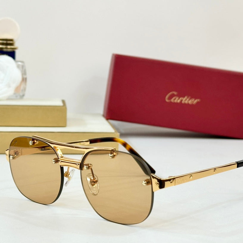 CARTIER SANTOS ROUND FRAME SUNGLASSES CT00676 IN METAL