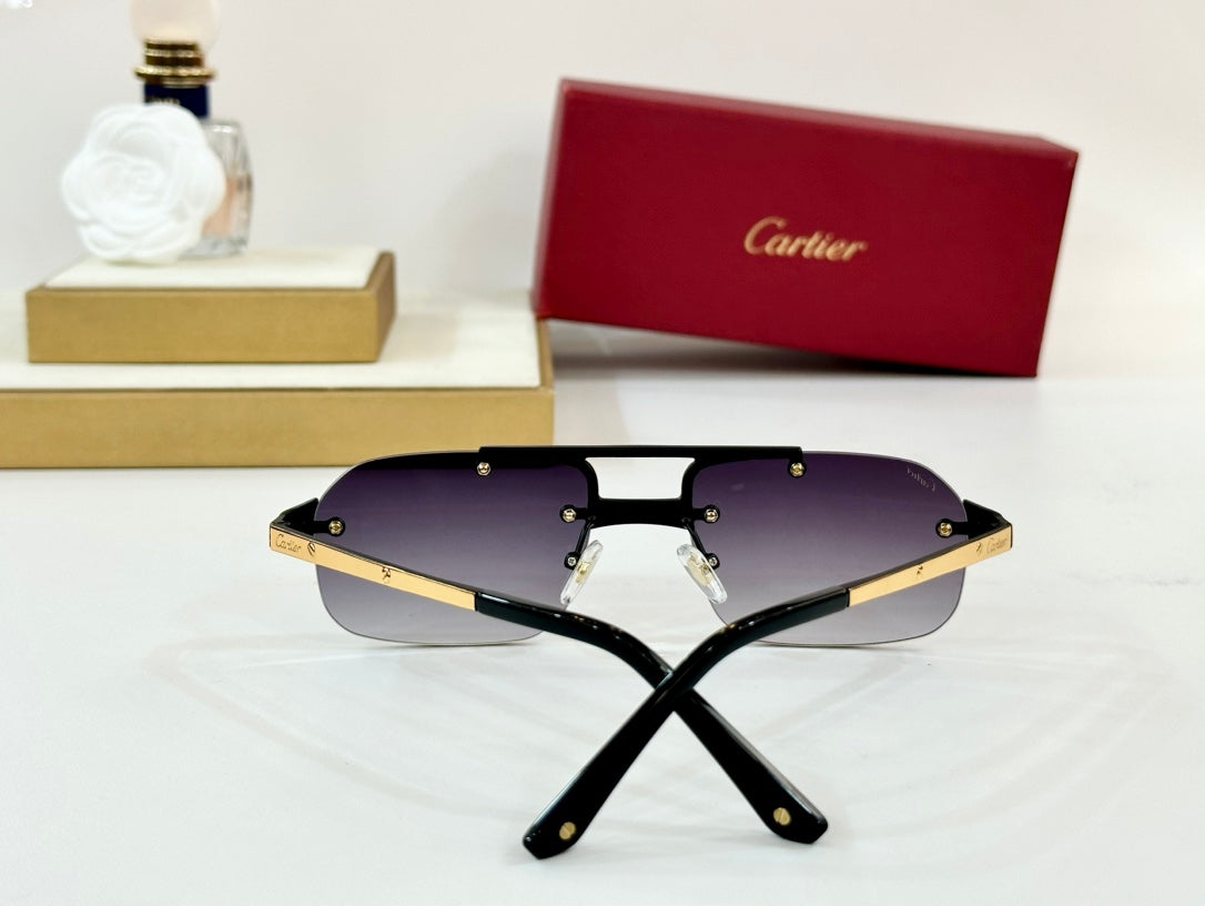 CARTIER SANTOS RECTANGULAR FRAME SUNGLASSES CT0660S IN METAL