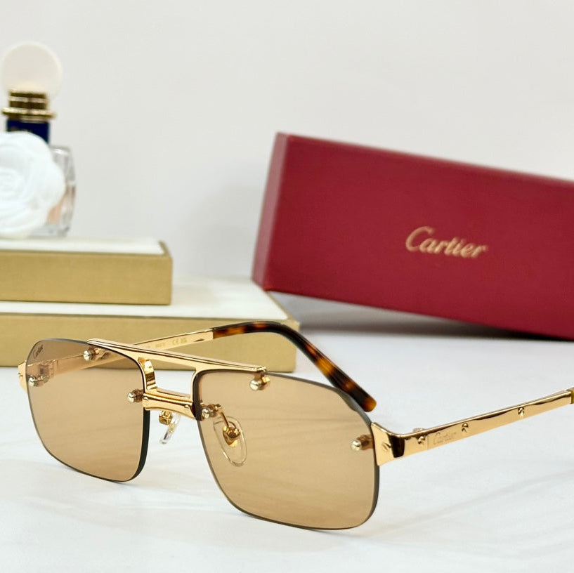 CARTIER SANTOS RECTANGULAR FRAME SUNGLASSES CT0660S IN METAL
