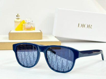 DIOR MONTAIGNE SUNGLASSES FLAG2 IN ACETATE
