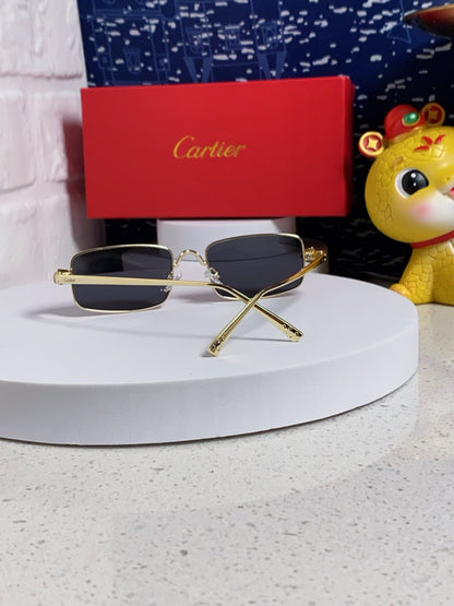 CARTIER SANTOS RECTANGULAR FRAME SUNGLASSES CT0473S IN METAL