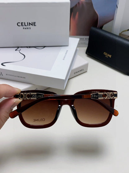 CELINE TRIOMPHE SUNGLASSES 573248 IN BROWN ACETATE METAL LOGO